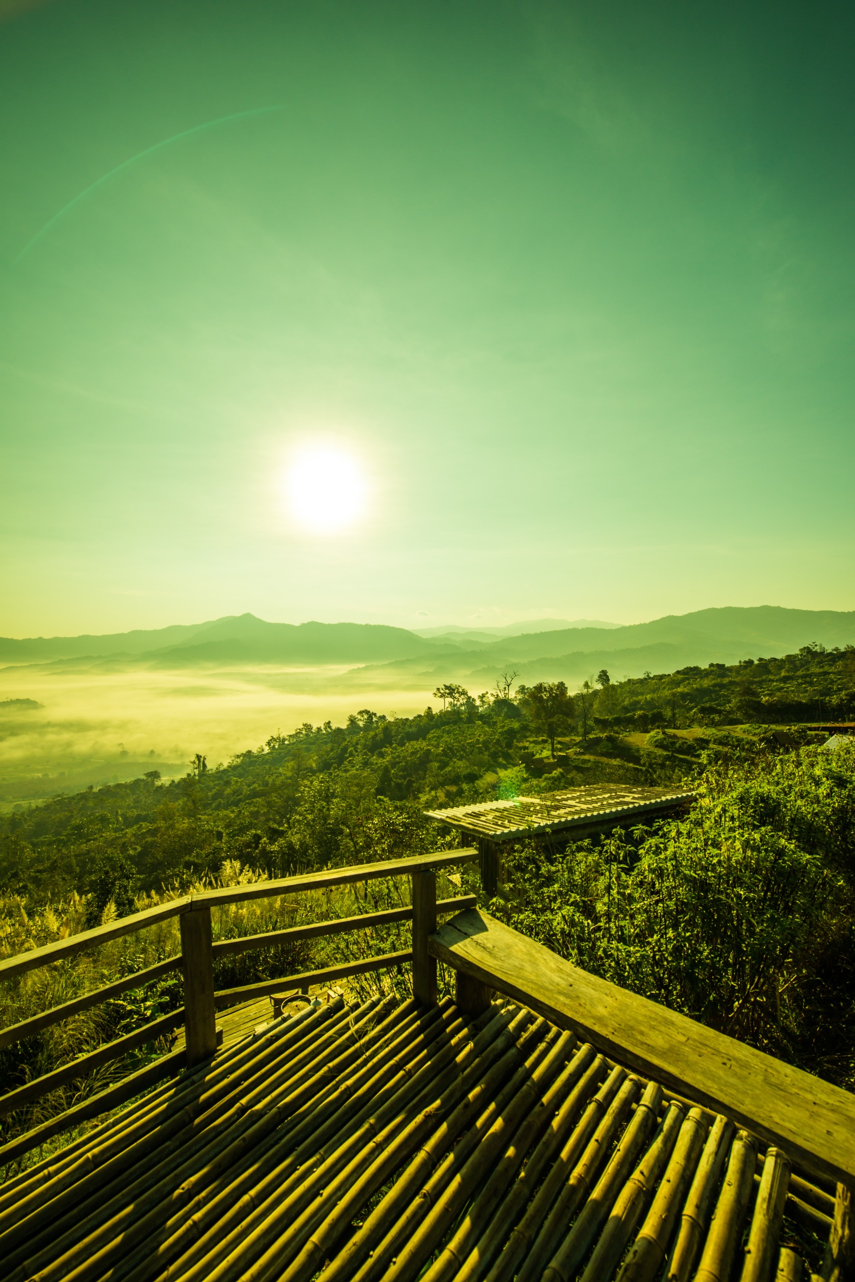 働きながら整える実践ライフ